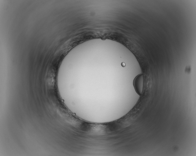 X0000114730226200911121802