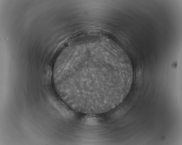 X0000114730228200911121802