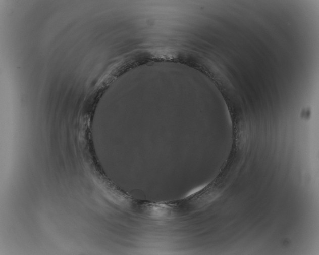 X0000114730229200911121802