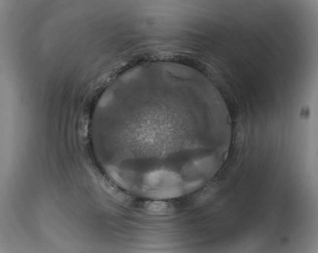 X0000114730230200911121802