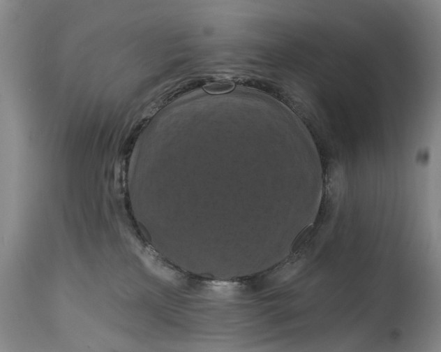 X0000114730233200911121802