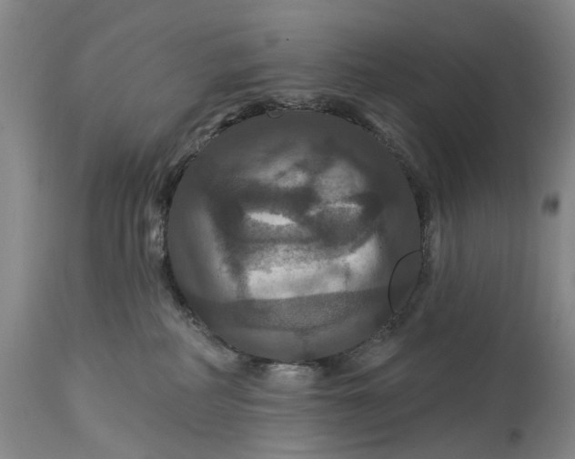 X0000114730234200911121802