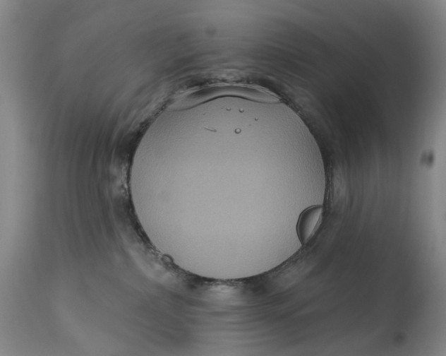 X0000114730236200911121802