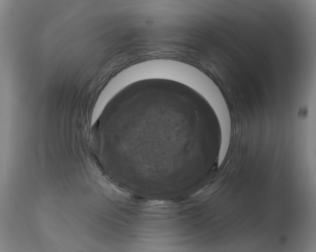 X0000114730237200911121802