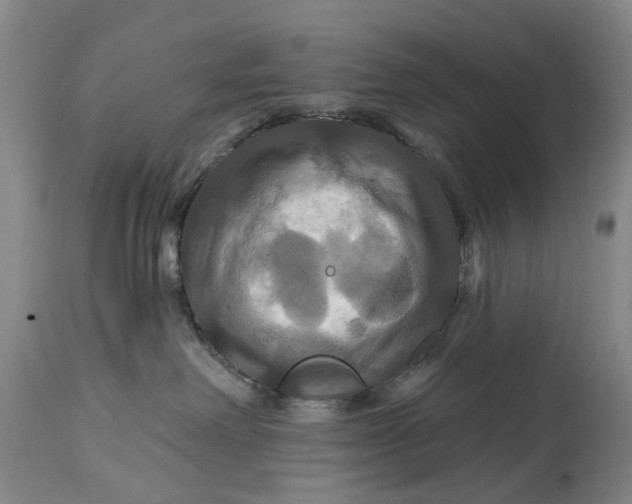 X0000114730238200911121802