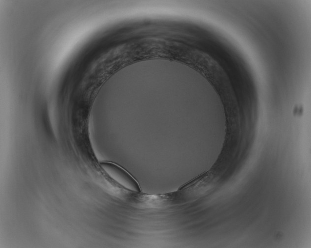 X0000114730239200911121802