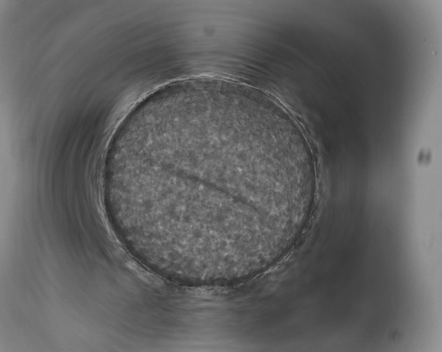 X0000114730241200911121801