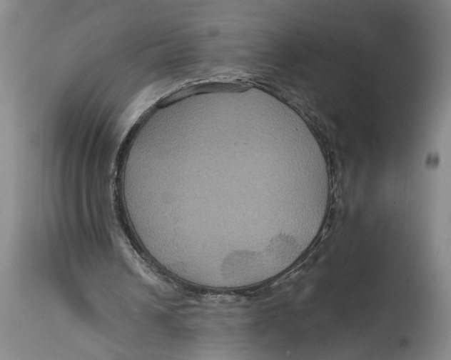 X0000114730242200911121801