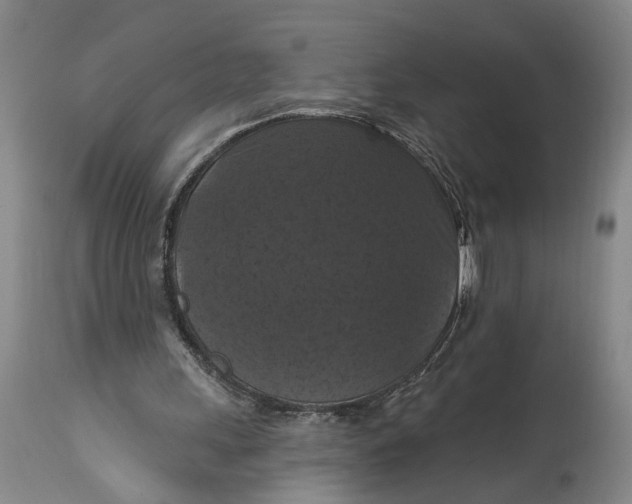 X0000114730243200911121801