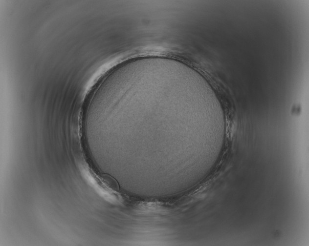 X0000114730244200911121801