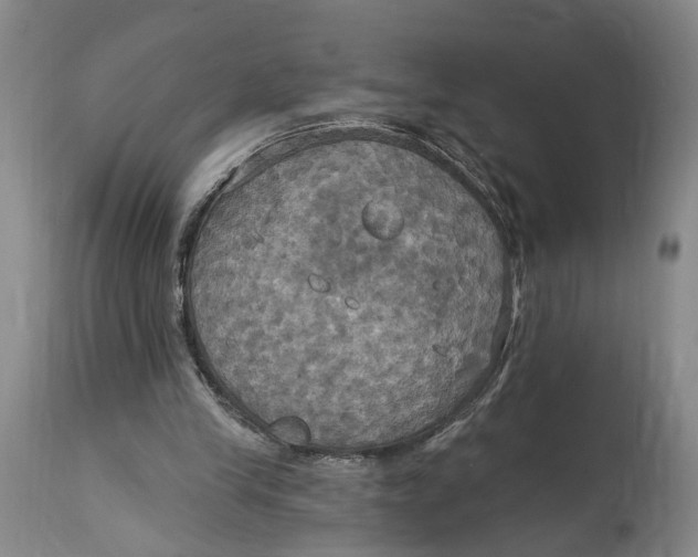 X0000114730245200911121801