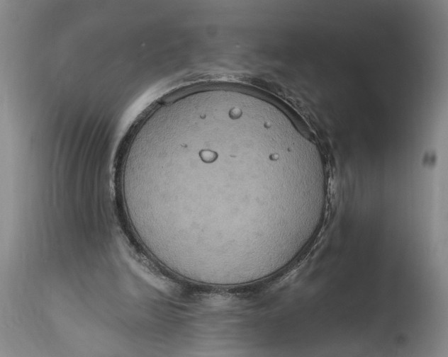 X0000114730246200911121801