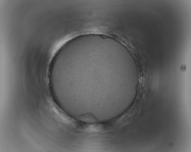 X0000114730248200911121801