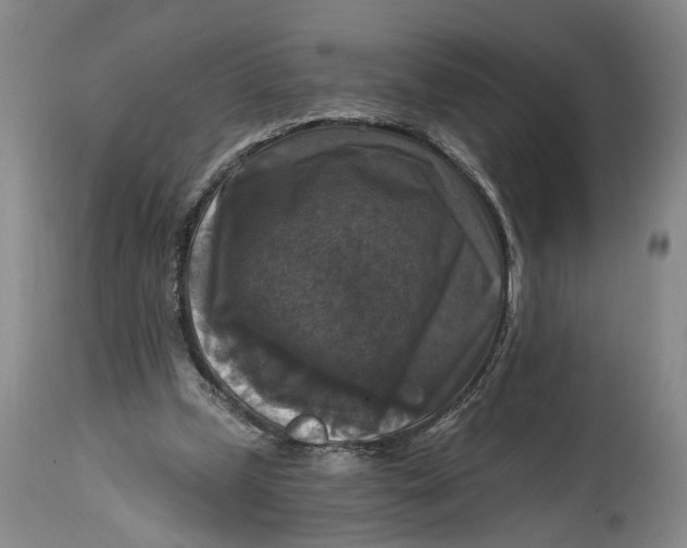 X0000114730249200911121801