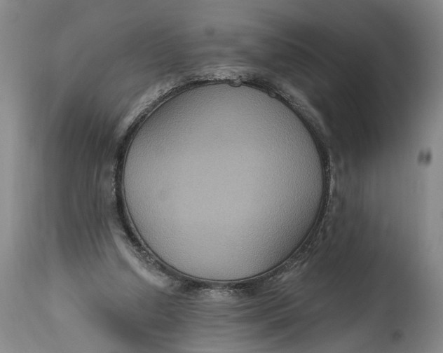 X0000114730250200911121801