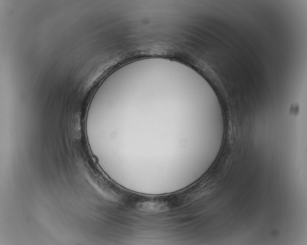 X0000114730251200911121801