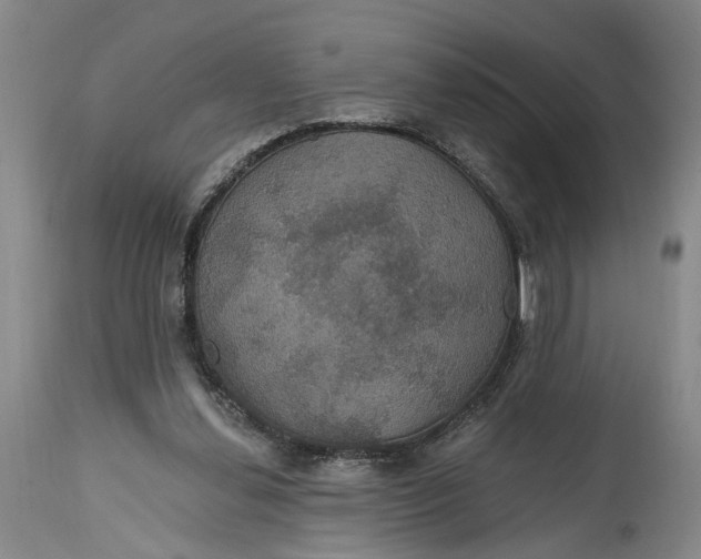 X0000114730252200911121801