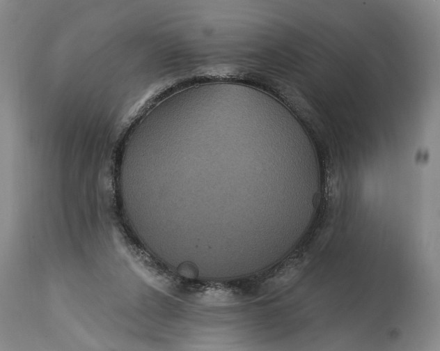 X0000114730256200911121801