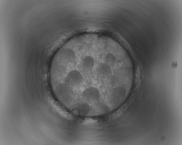 X0000114730257200911121801