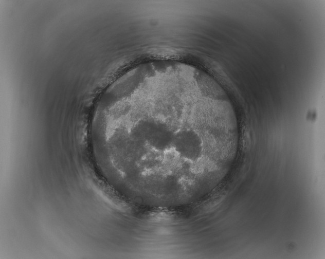 X0000114730259200911121801