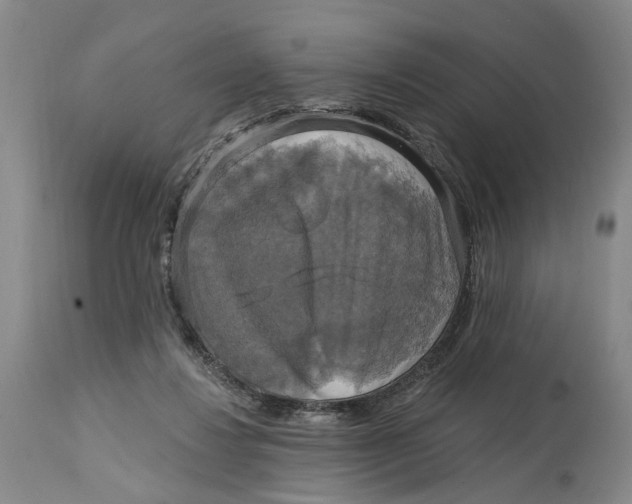 X0000114730260200911121801