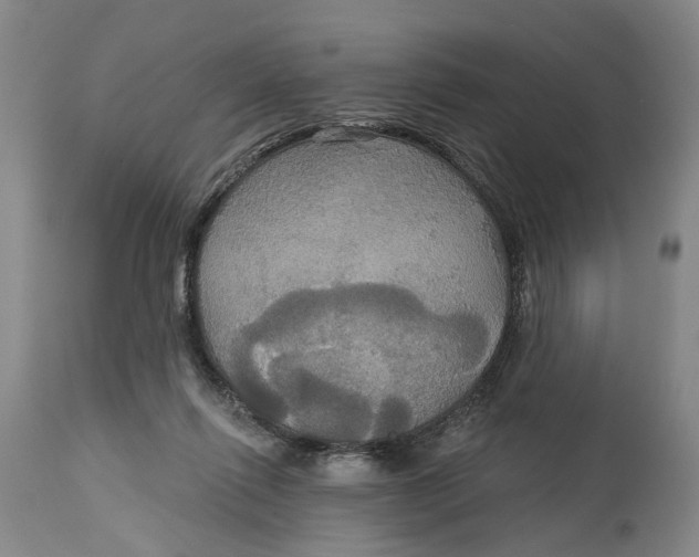 X0000114730262200911121801