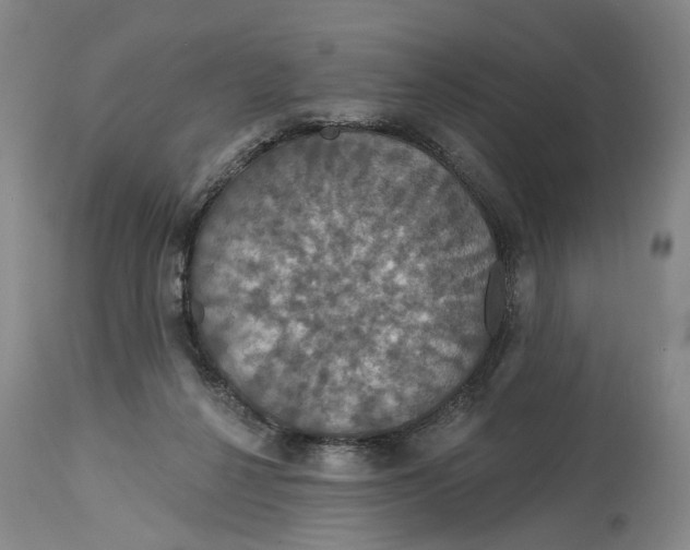 X0000114730264200911121801