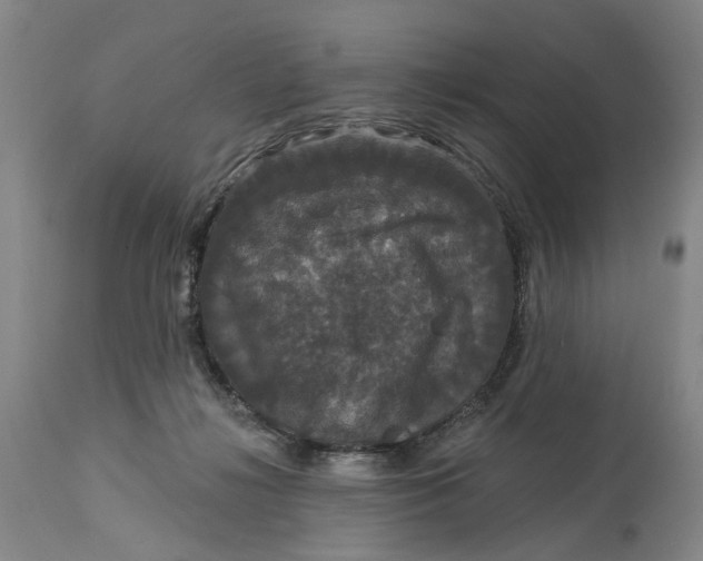 X0000114730268200911121801