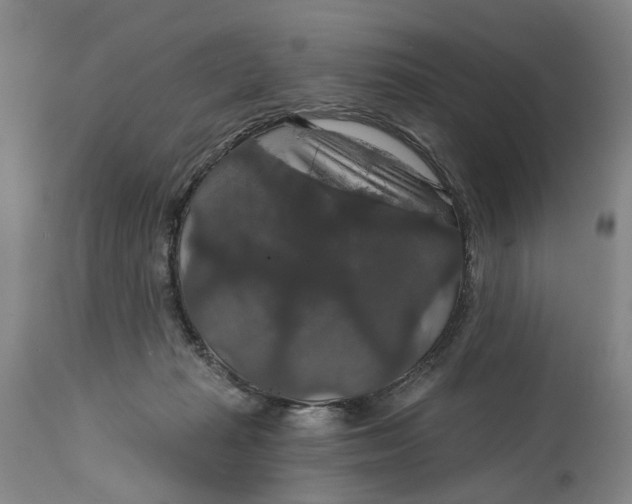 X0000114730269200911121801