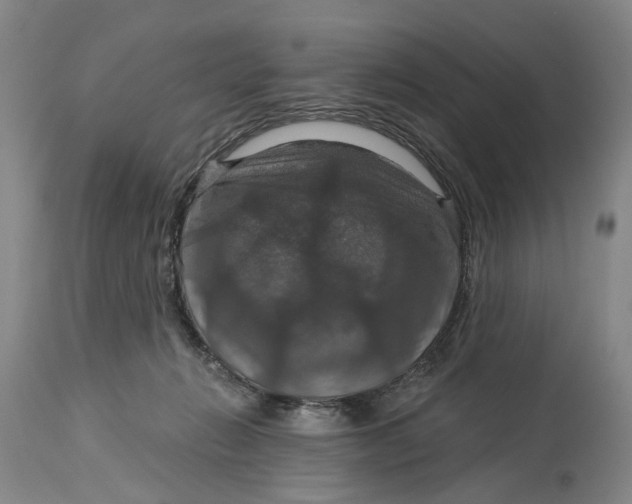 X0000114730270200911121801