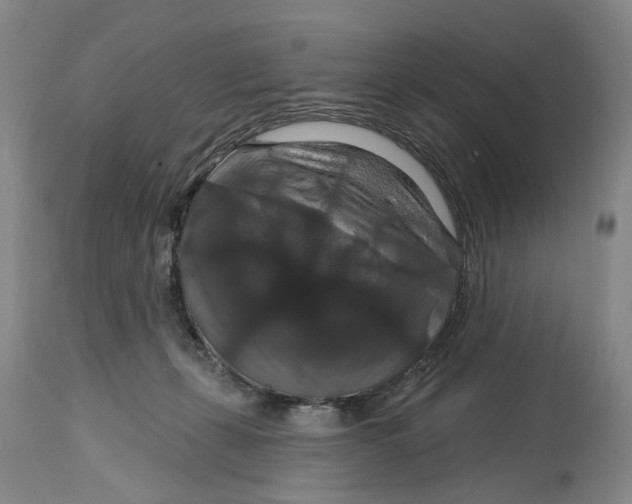 X0000114730271200911121801