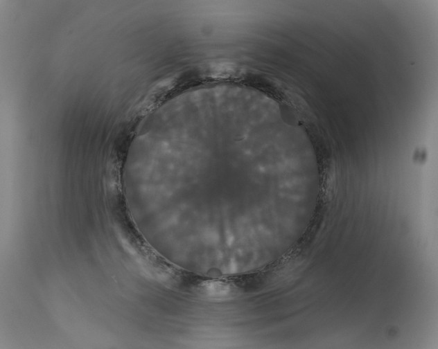 X0000114730272200911121801