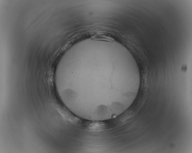 X0000114730274200911121801