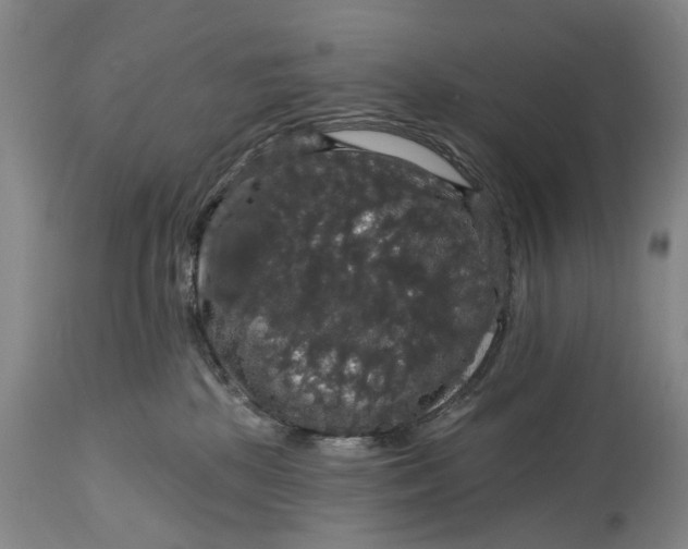 X0000114730281200911121801