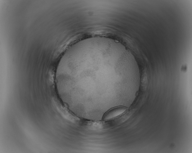 X0000114730282200911121801