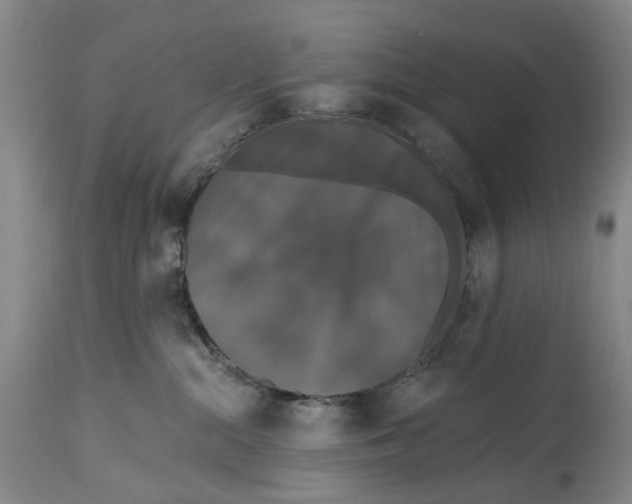 X0000114730284200911121802