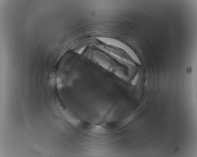 X0000114730285200911121802