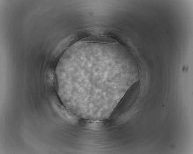 X0000114730288200911121802