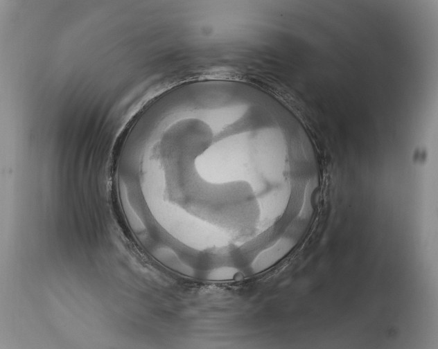 X0000114730290200911121801