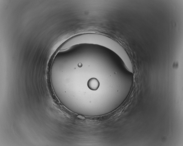 X0000114730292200911121801