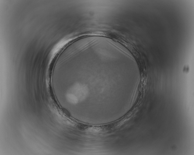 X0000114730294200911121801