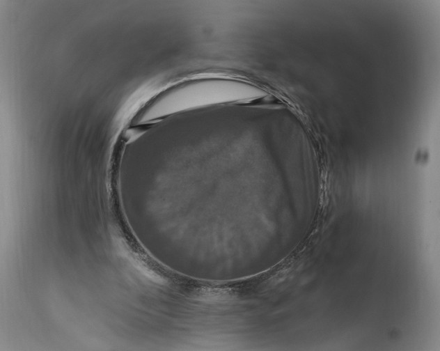 X0000114730296200911121801