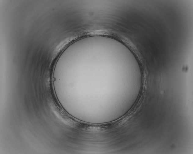 X0000114730298200911121801