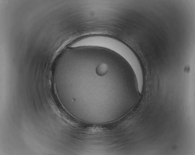 X0000114730300200911121801