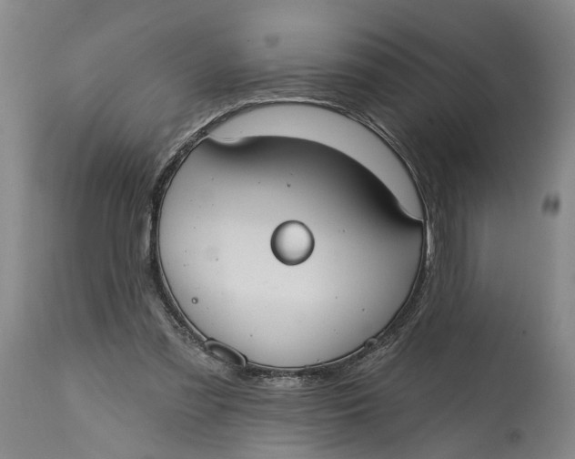 X0000114730301200911121801