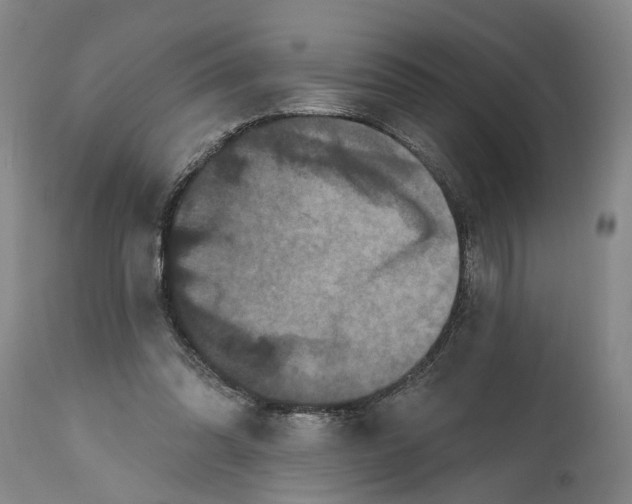 X0000114730302200911121801