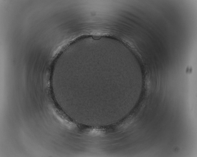 X0000114730303200911121801