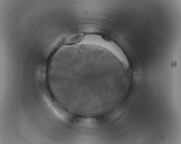 X0000114730304200911121801