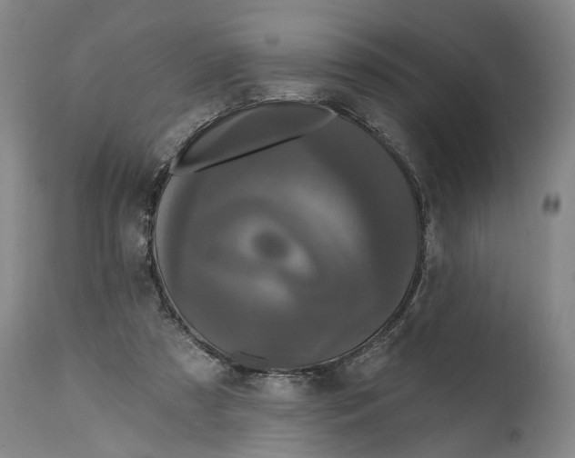 X0000114730305200911121801