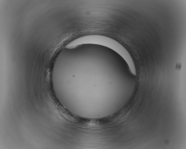 X0000114730308200911121801